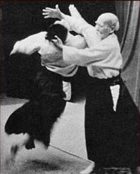 O-sensei Aikido