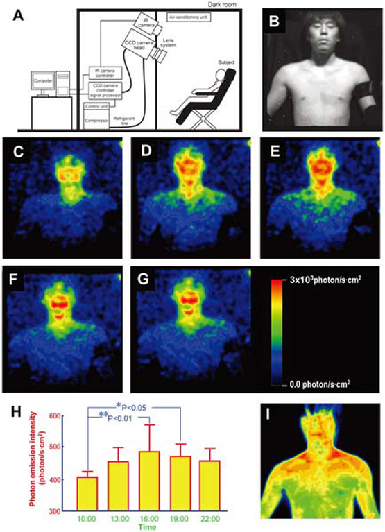 The Human Bioenergy System | Human Skin Emits Light