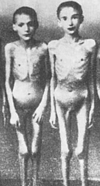 Auschwitz children concentration camp