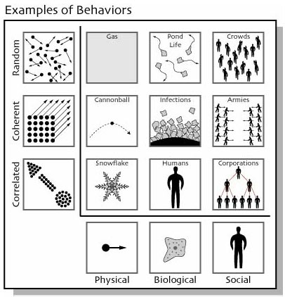 examples of behavior